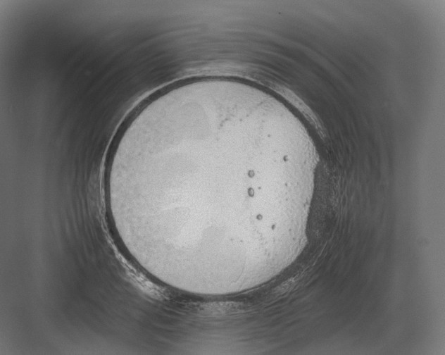 X0000082690988200702161719