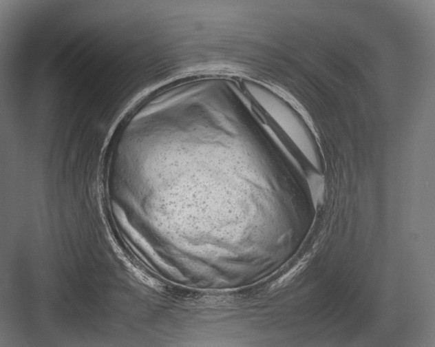 X0000082690989200702161719