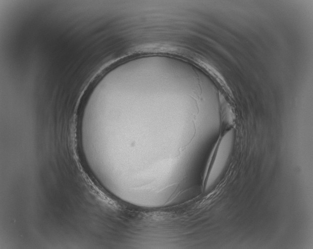 X0000082690992200702161719