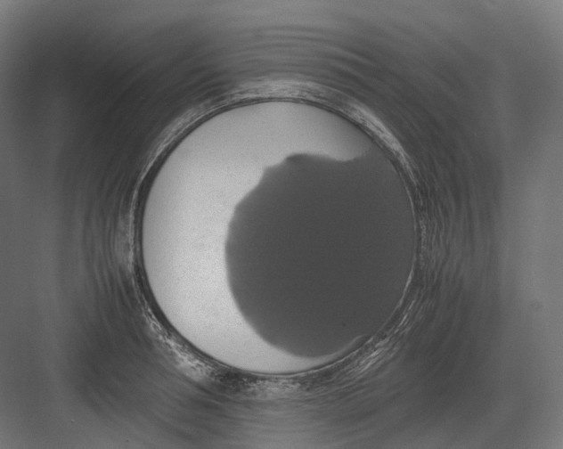 X0000082690994200702161719