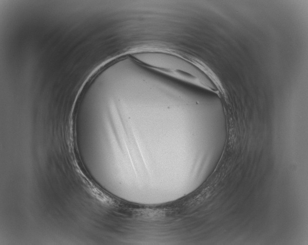 X0000082690996200702161719