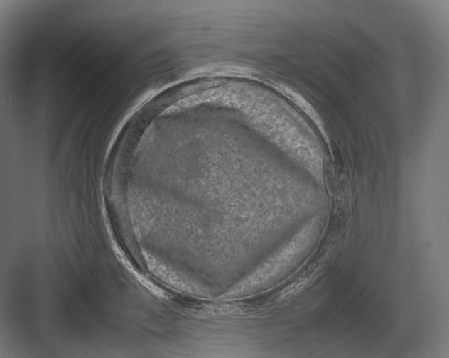 X0000082690997200702161719