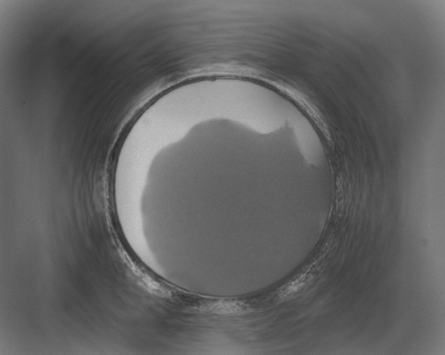 X0000082690998200702161719