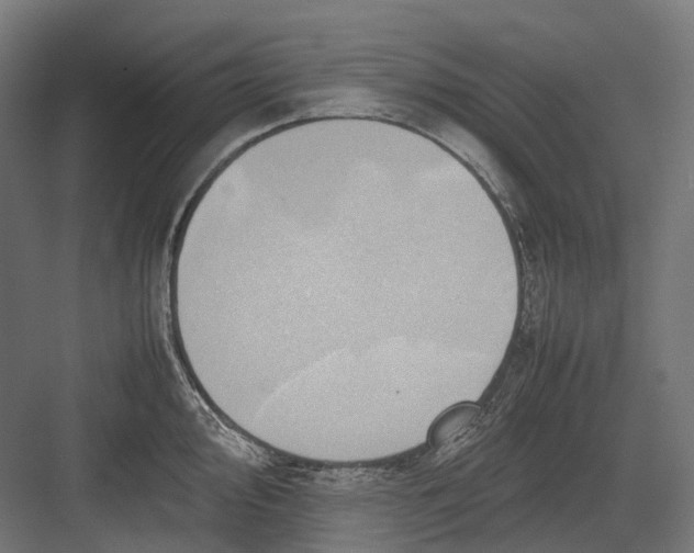 X0000082691000200702161719