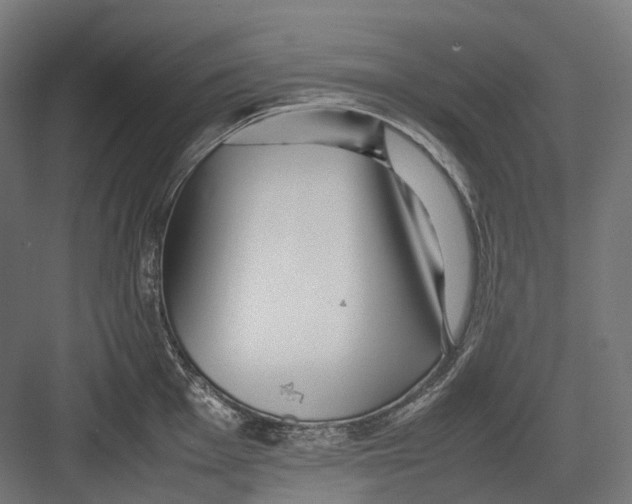 X0000082691001200702161719