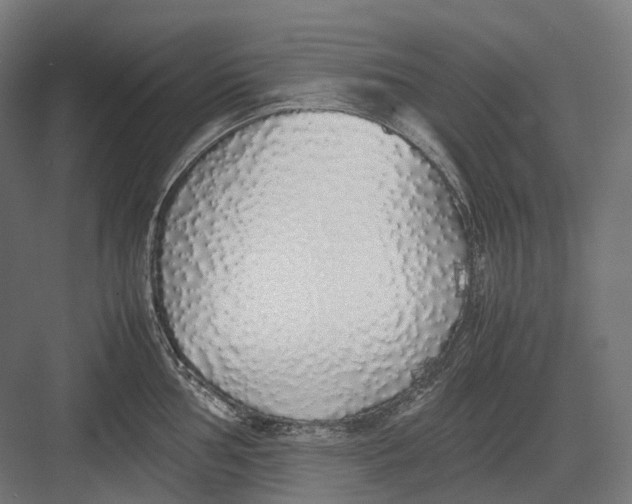 X0000082691002200702161719