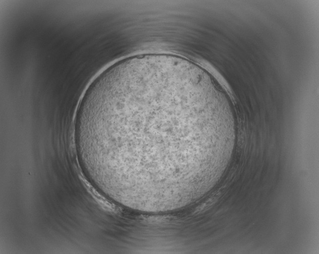 X0000082691004200702161719