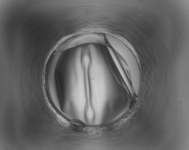 X0000082691005200702161719