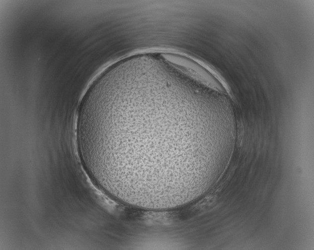 X0000082691006200702161719