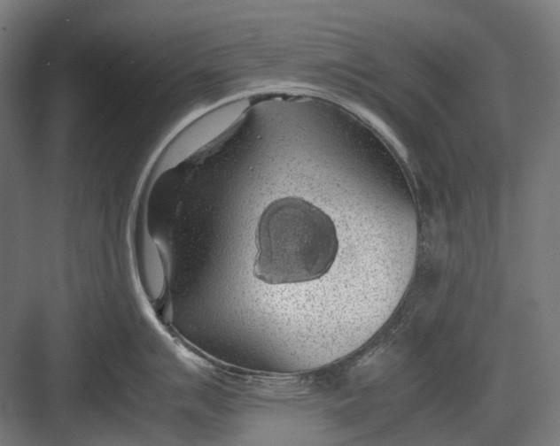 X0000082691007200702161719