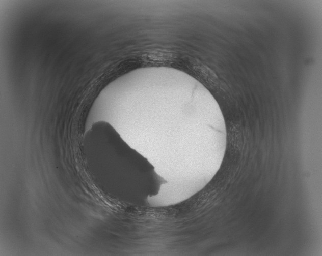 X0000082691009200702161718