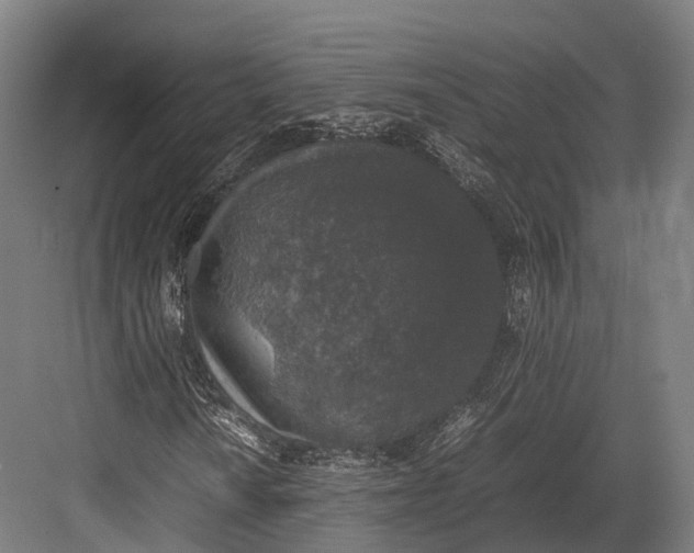 X0000082691010200702161718