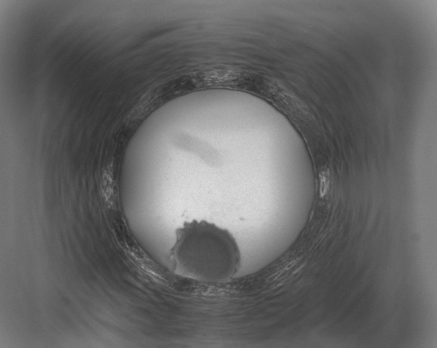 X0000082691011200702161718