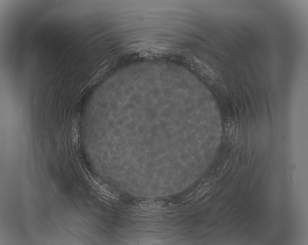 X0000082691012200702161718