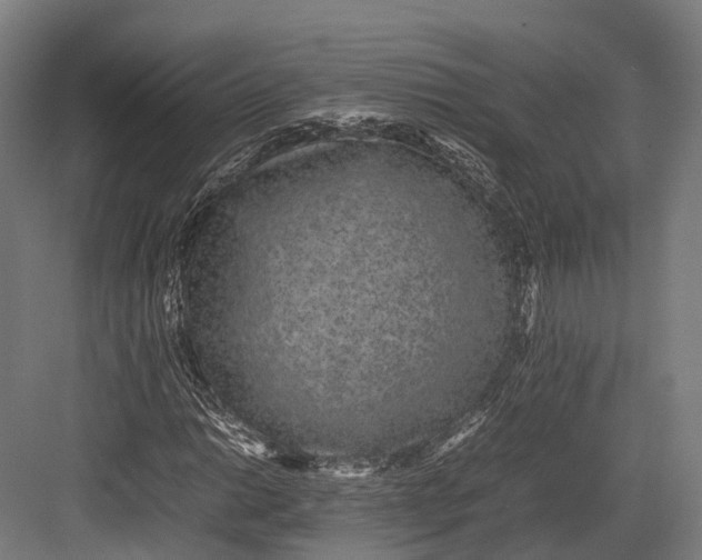 X0000082691014200702161718