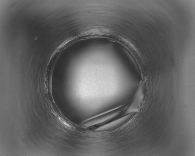 X0000082691018200702161718