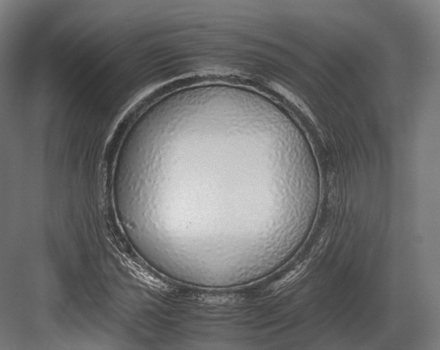 X0000082691021200702161718