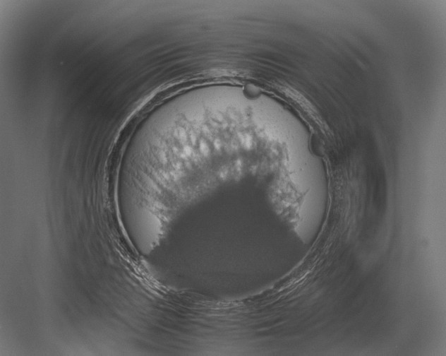 X0000082691023200702161718