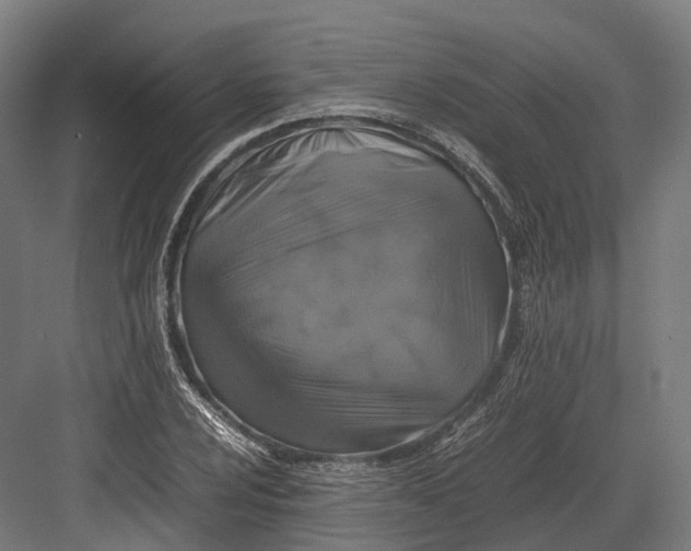 X0000082691024200702161718