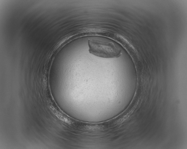 X0000082691025200702161718