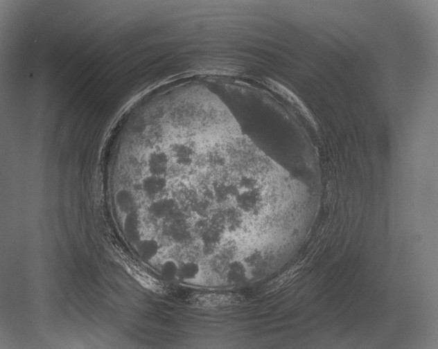 X0000082691027200702161719