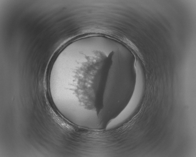 X0000082691028200702161719