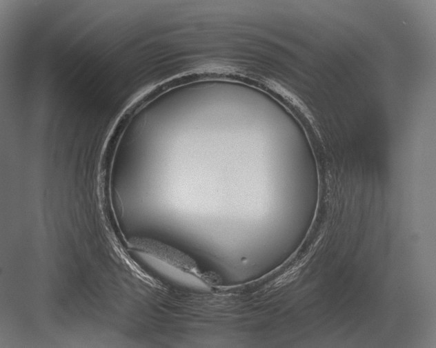 X0000082691029200702161719