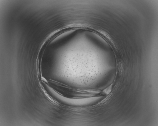 X0000082691030200702161719