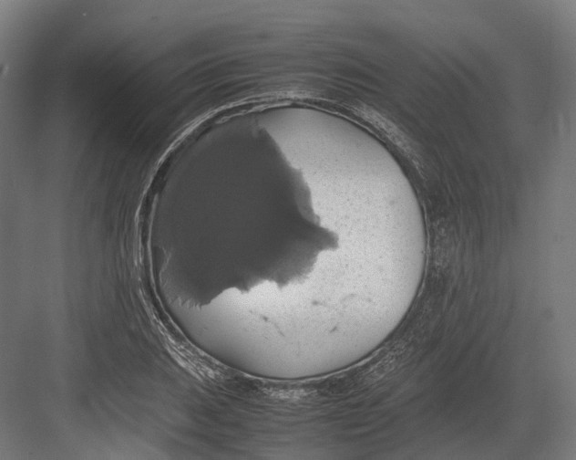 X0000082691031200702161719