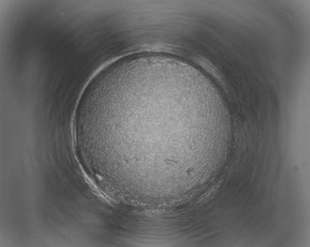 X0000082691032200702161719