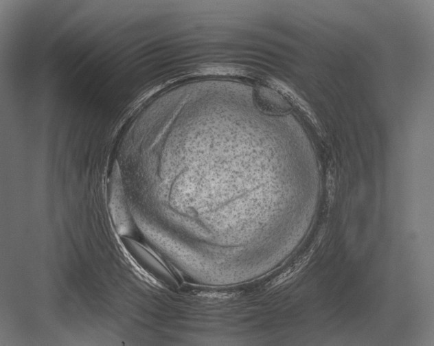 X0000082691033200702161719