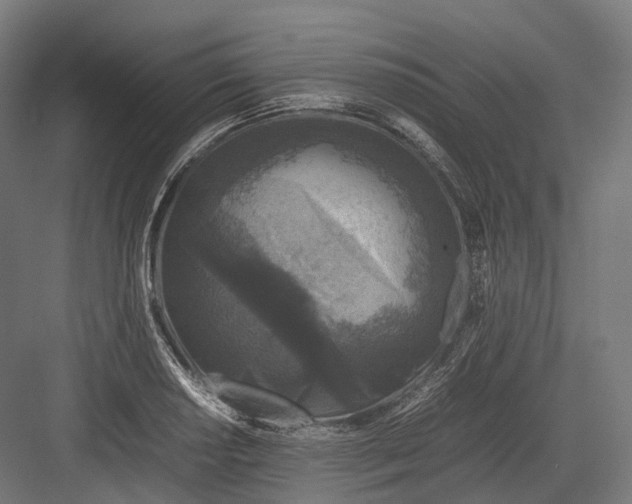 X0000082691034200702161719