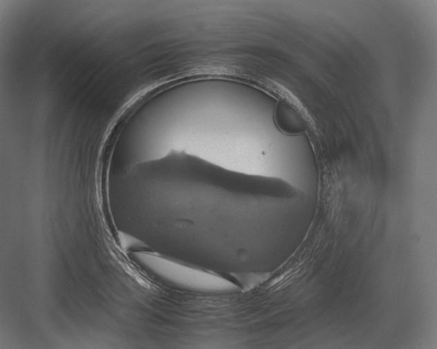 X0000082691035200702161719