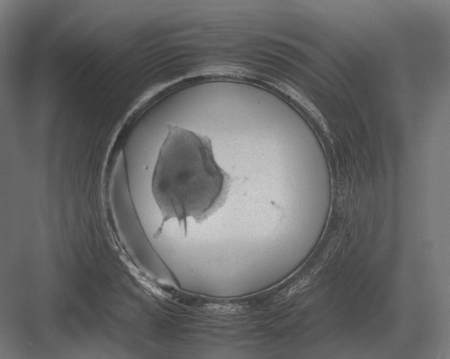 X0000082691037200702161719