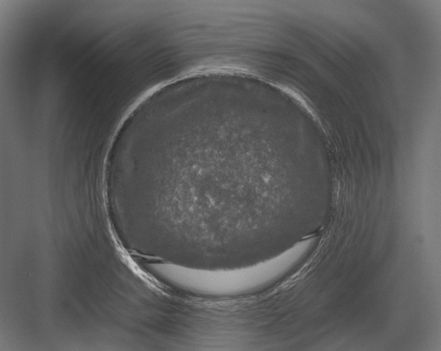 X0000082691038200702161719