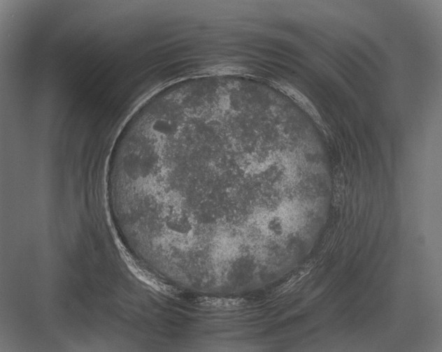 X0000082691039200702161719