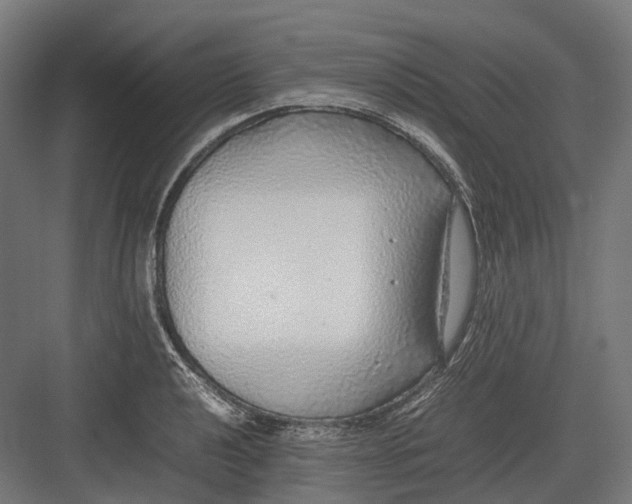 X0000082691040200702161719