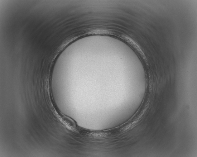 X0000082691041200702161719