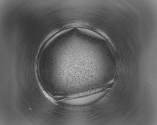 X0000082691042200702161719