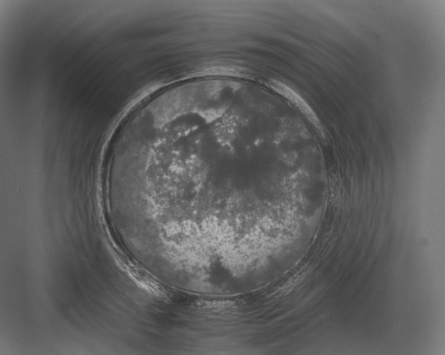 X0000082691043200702161719