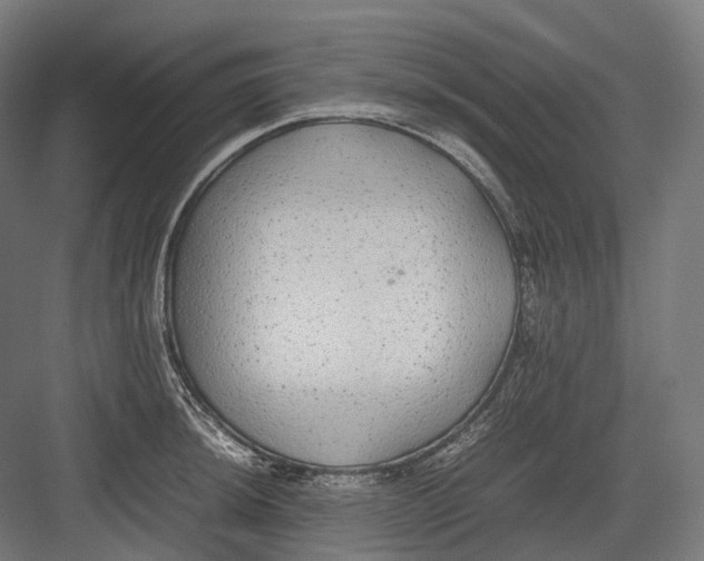 X0000082691044200702161719