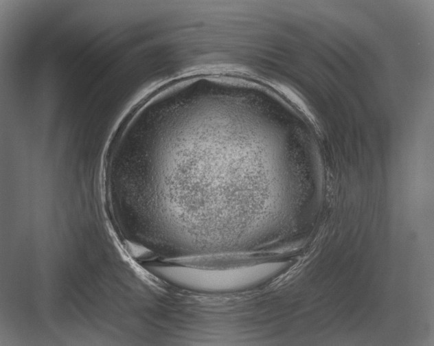 X0000082691046200702161719