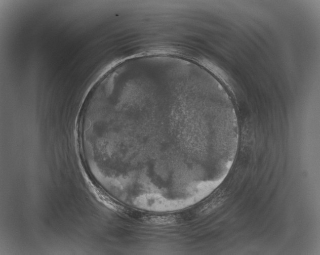 X0000082691047200702161719