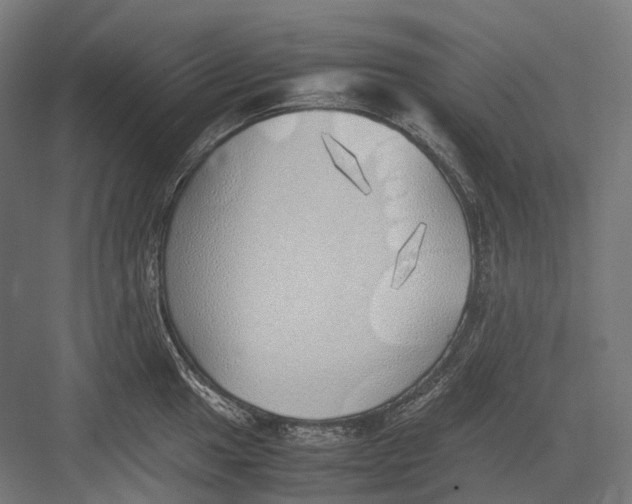 X0000082691049200702161719