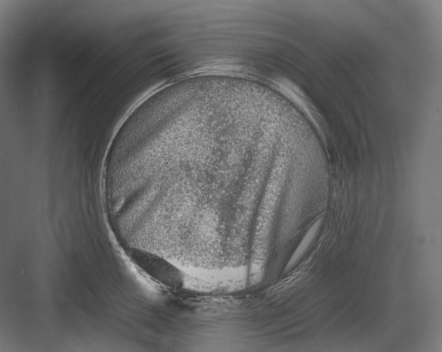 X0000082691050200702161719