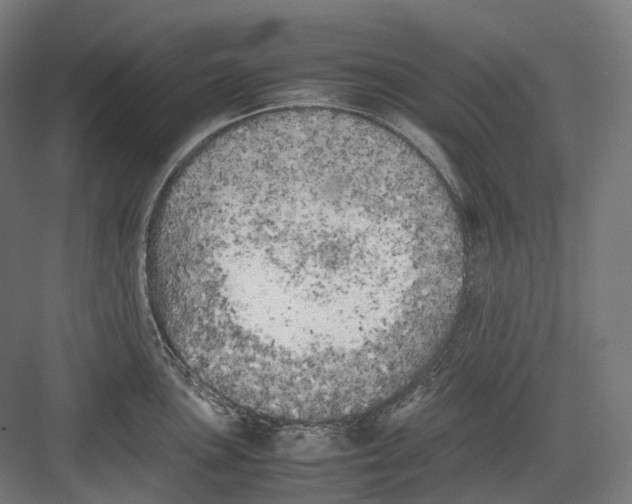 X0000082691051200702161719