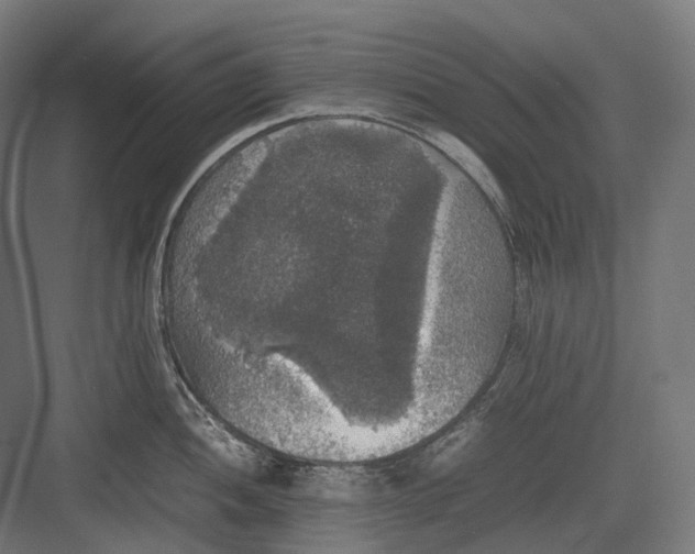 X0000082691052200702161719