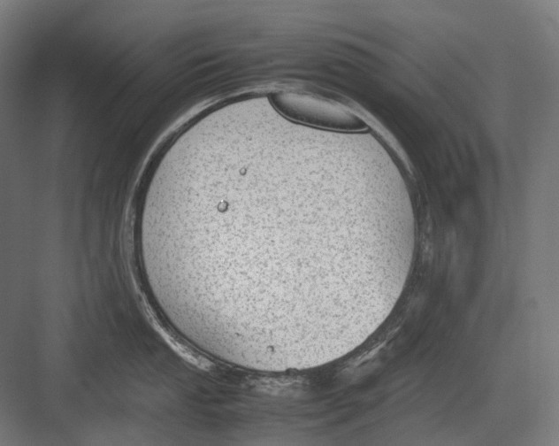 X0000082691053200702161719