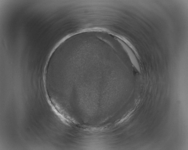 X0000082691054200702161719