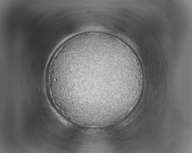 X0000082691056200702161719